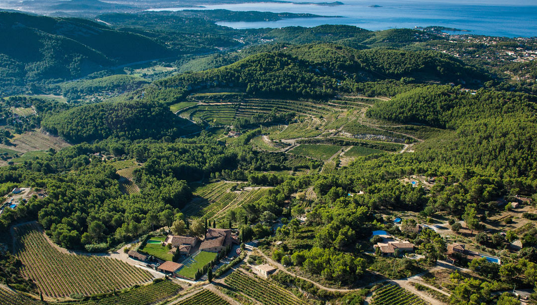 Featured Vineyard: Château de Pibarnon